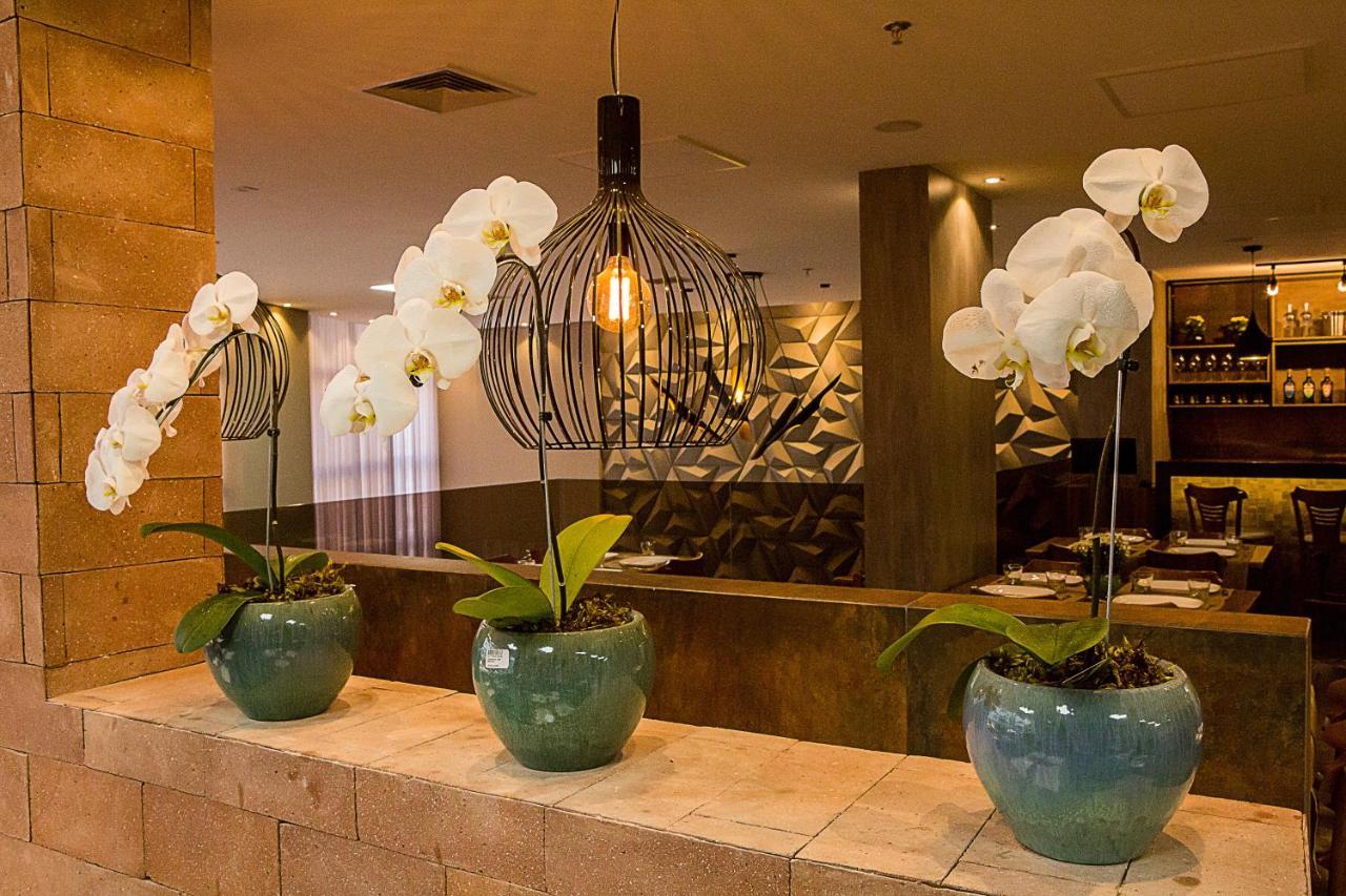 Bristol Viçosa Hotel Extérieur photo